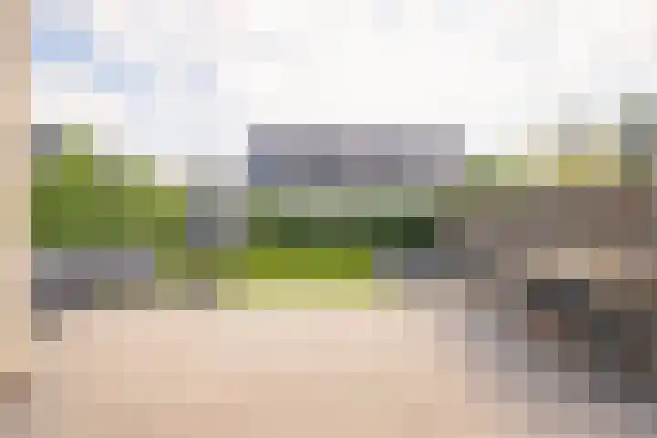 Harnasruwe 19 Maastricht thumbnail 16