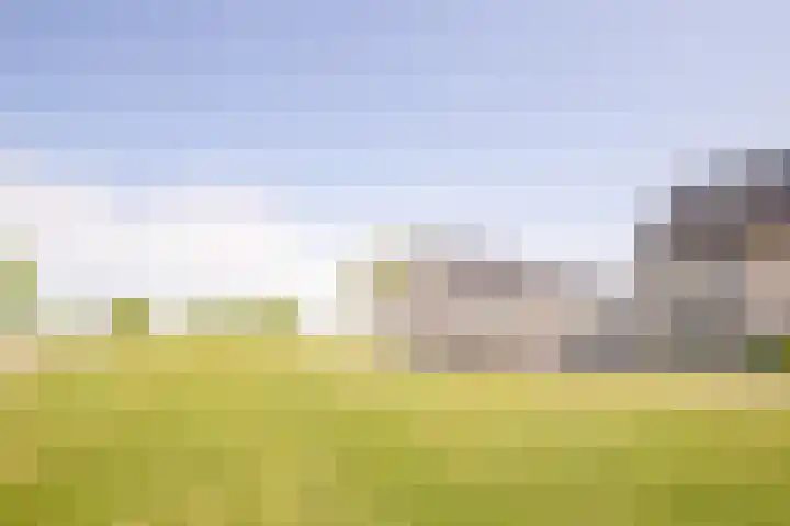 Harnasruwe 19 Maastricht thumbnail 20