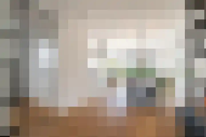 Harnasruwe 19 Maastricht thumbnail 4