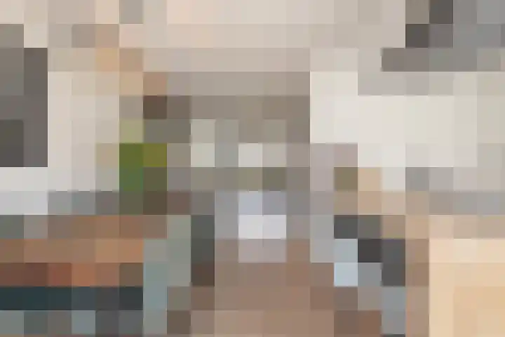 Harnasruwe 19 Maastricht thumbnail 6