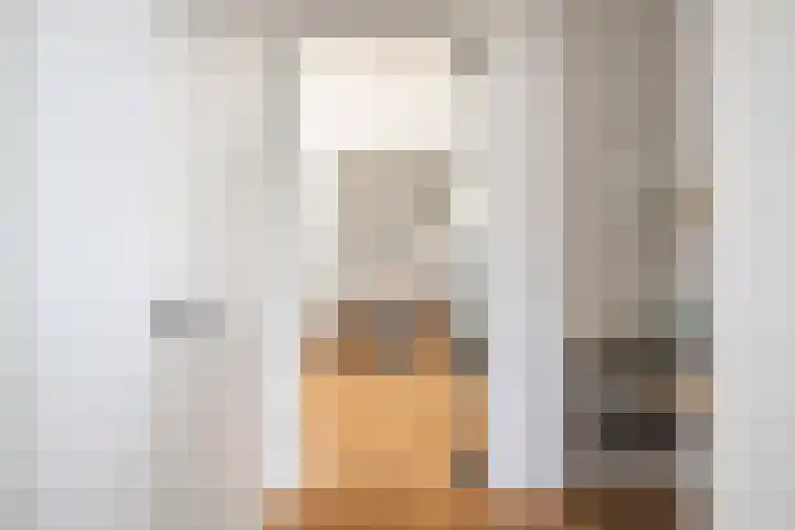 Harnasruwe 19 Maastricht thumbnail 7