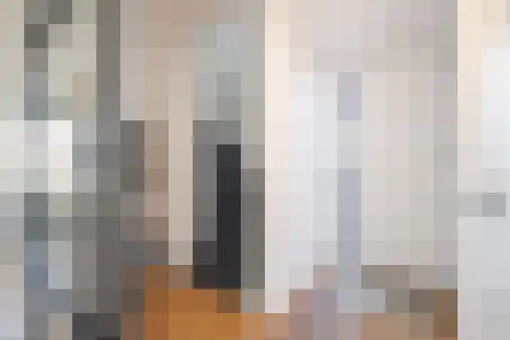 Harnasruwe 19 Maastricht thumbnail 8
