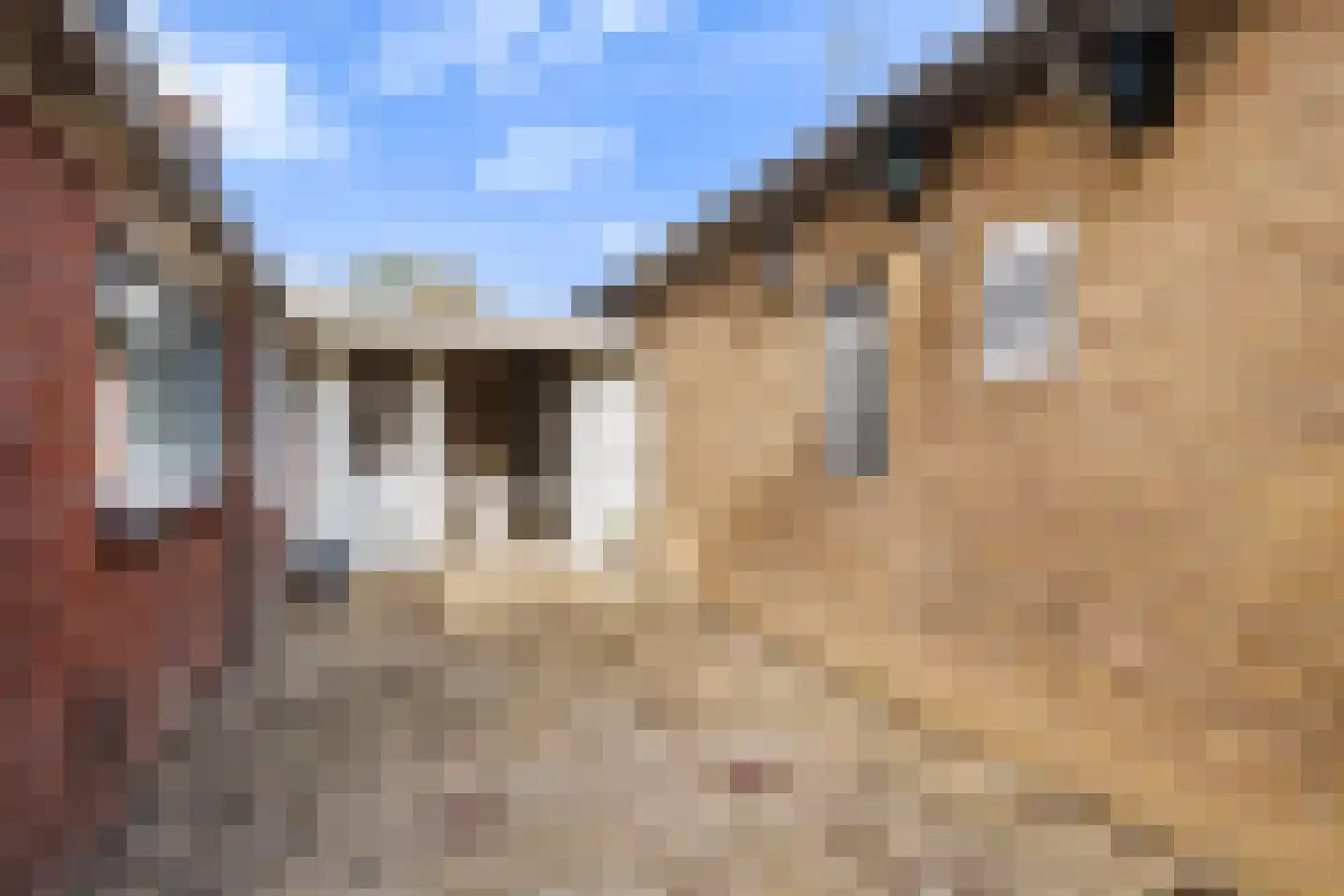 Harnedyk 10 Ingelum thumbnail 13