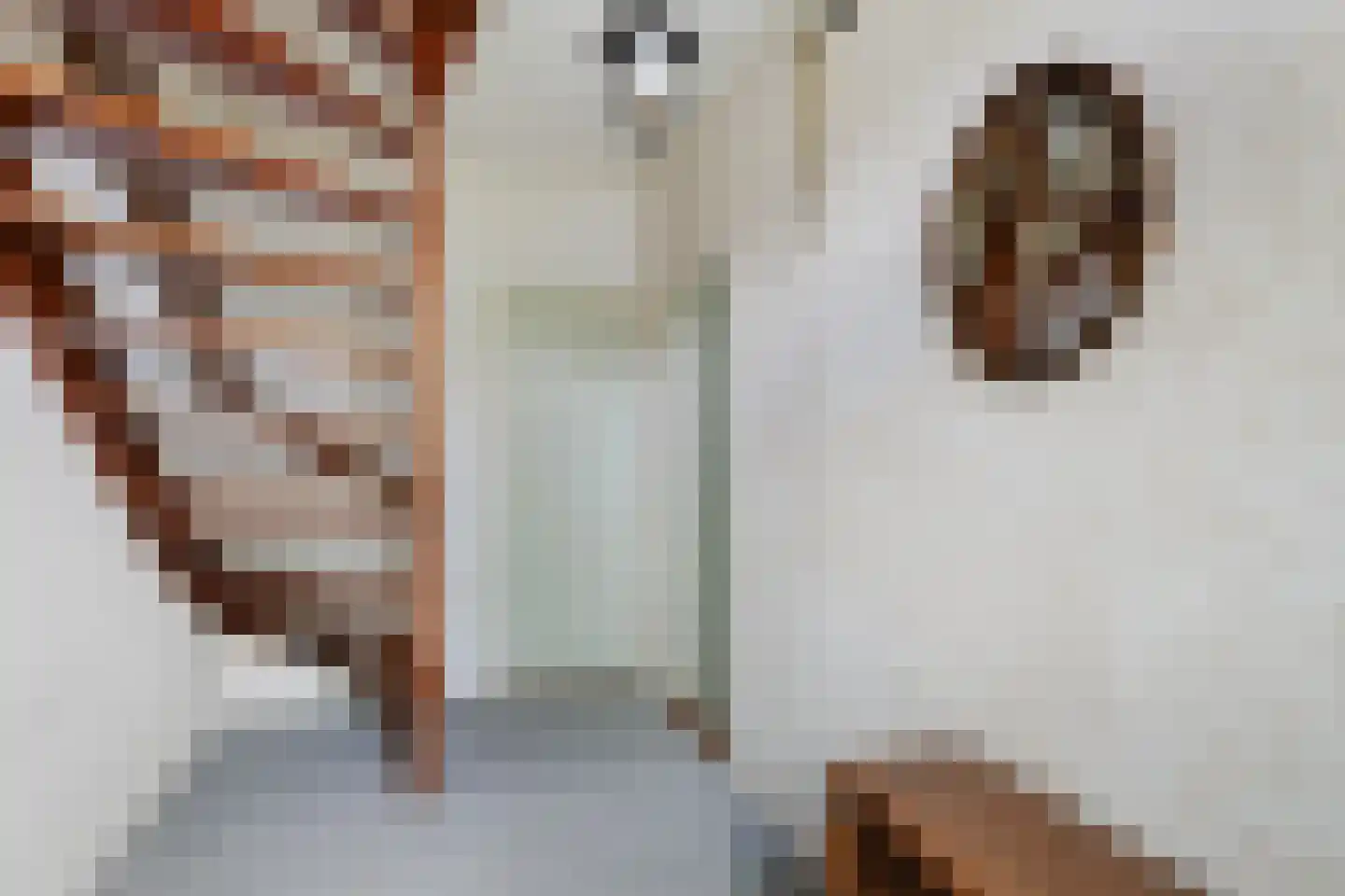 Harnedyk 10 Ingelum thumbnail 14