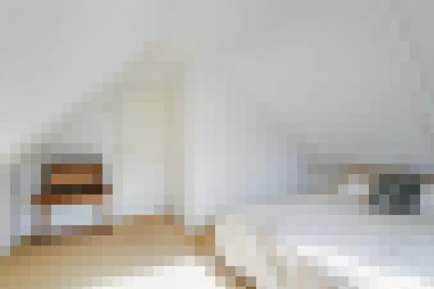 Harnedyk 10 Ingelum thumbnail 35