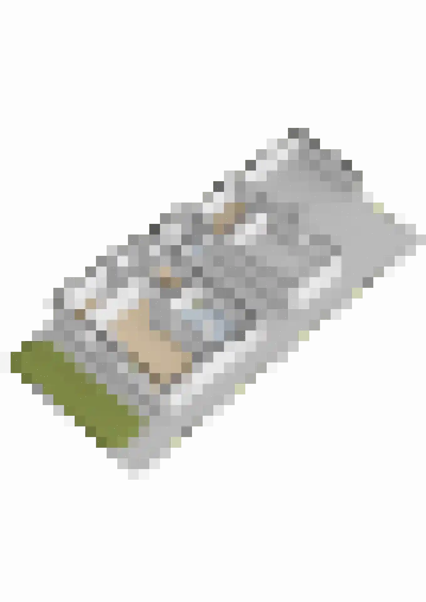 Harnedyk 10 Ingelum thumbnail 48