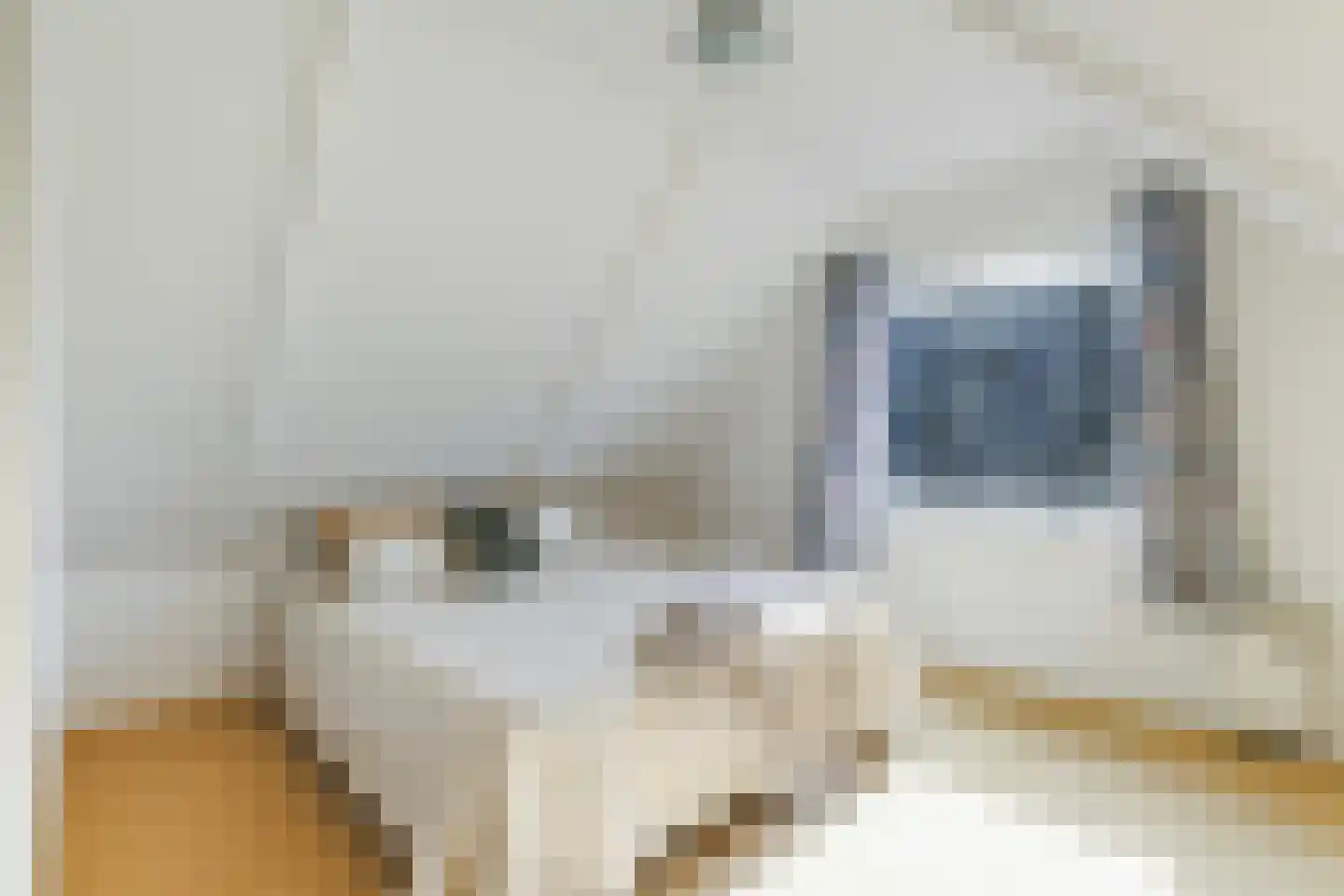 Harnedyk 10 Ingelum thumbnail 5