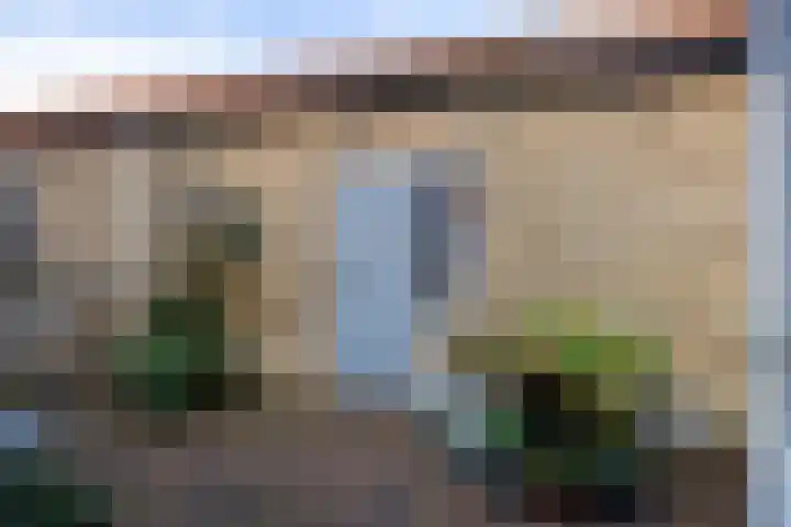 Harnedyk 11 Ingelum thumbnail 19