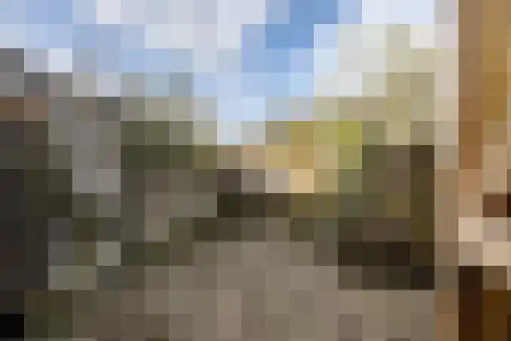Harnedyk 11 Ingelum thumbnail 22
