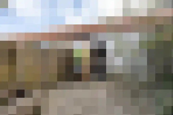 Harnedyk 11 Ingelum thumbnail 23