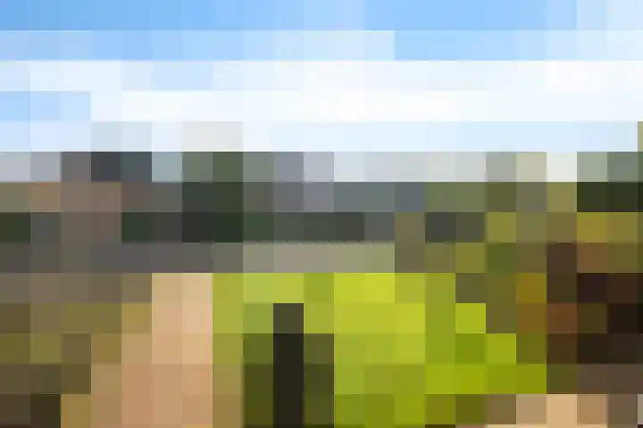 Harnedyk 11 Ingelum thumbnail 26