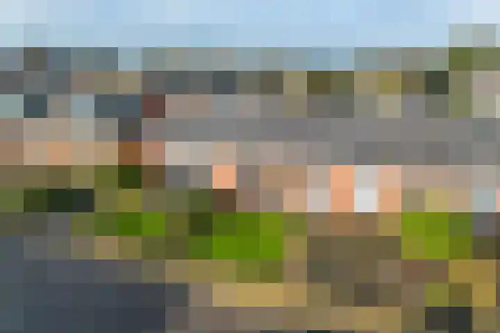 Harnedyk 11 Ingelum thumbnail 29