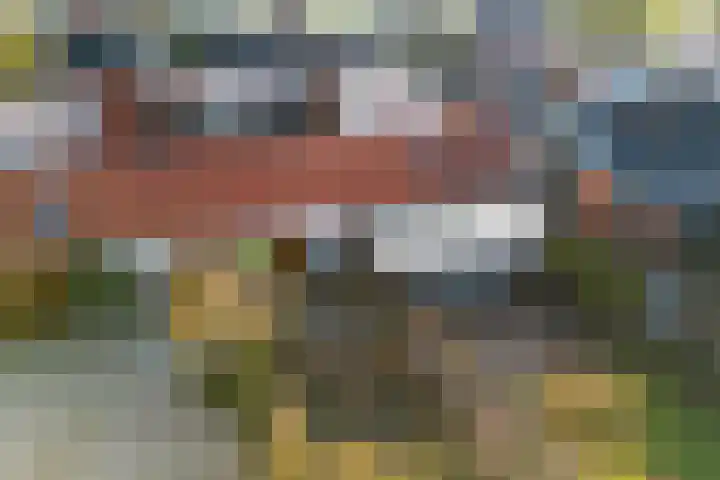 Harnedyk 11 Ingelum thumbnail 30
