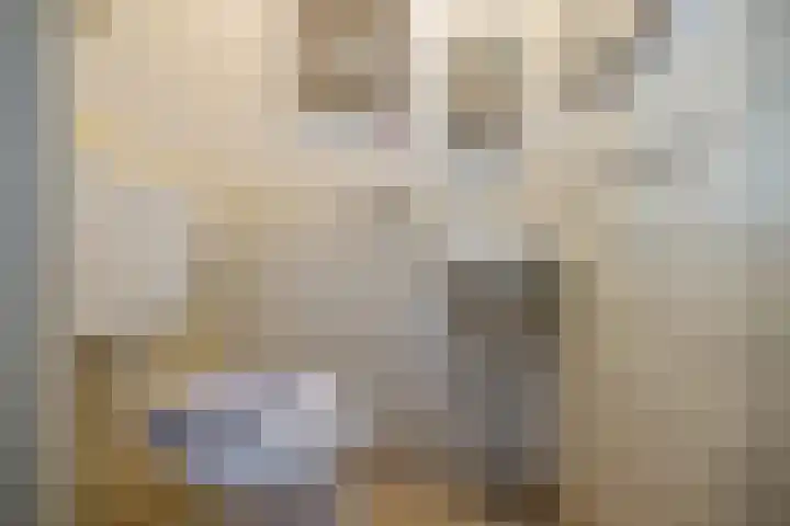 Harnedyk 11 Ingelum thumbnail 6
