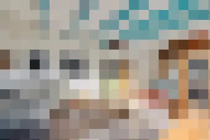 Harnedyk 11 Ingelum thumbnail 8