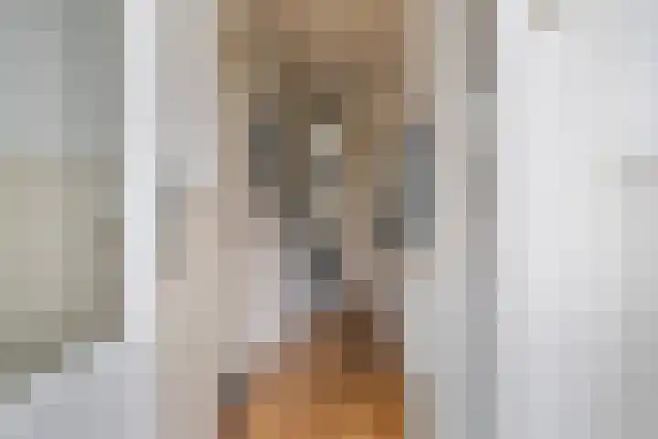 Harnedyk 13 Ingelum thumbnail 10