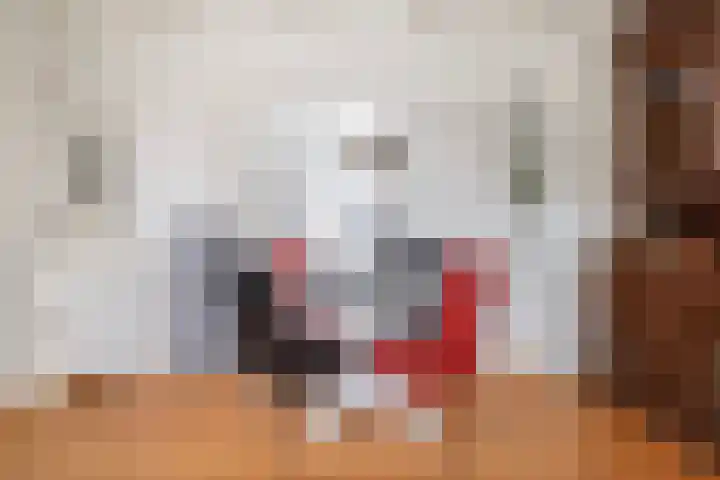 Harnedyk 13 Ingelum thumbnail 16