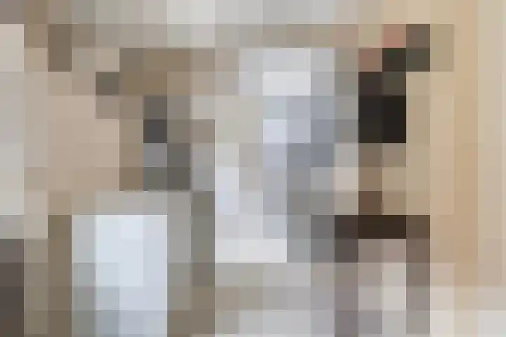 Harnedyk 13 Ingelum thumbnail 19