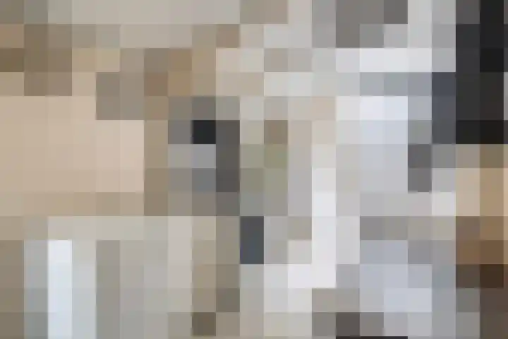 Harnedyk 13 Ingelum thumbnail 20