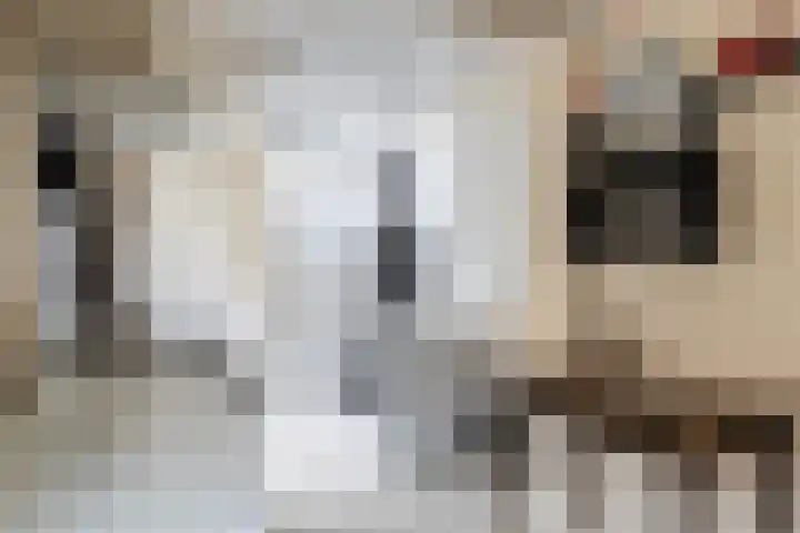 Harnedyk 13 Ingelum thumbnail 21