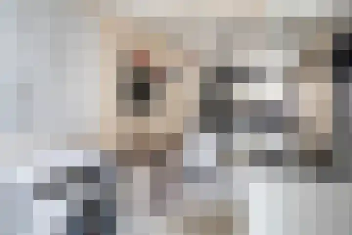 Harnedyk 13 Ingelum thumbnail 24