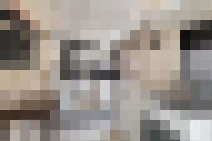 Harnedyk 13 Ingelum thumbnail 25