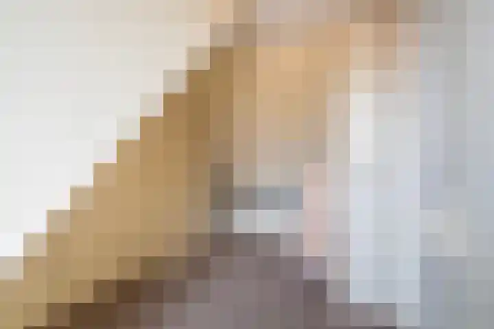 Harnedyk 13 Ingelum thumbnail 35