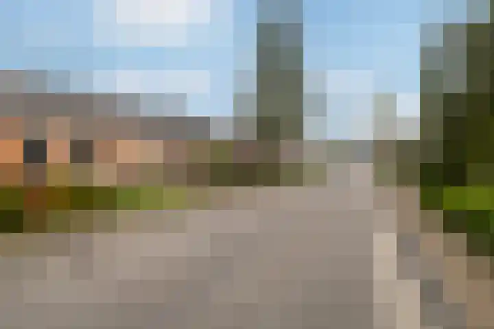 Harnedyk 13 Ingelum thumbnail 4