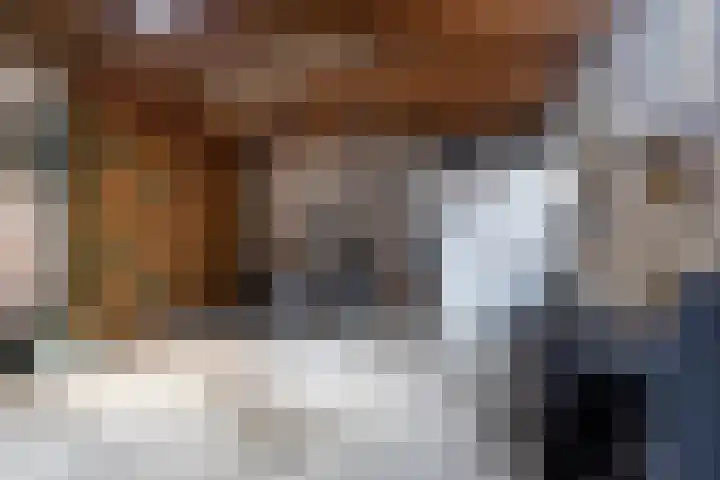 Harnedyk 13 Ingelum thumbnail 44