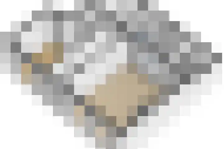 Harnedyk 13 Ingelum thumbnail 47