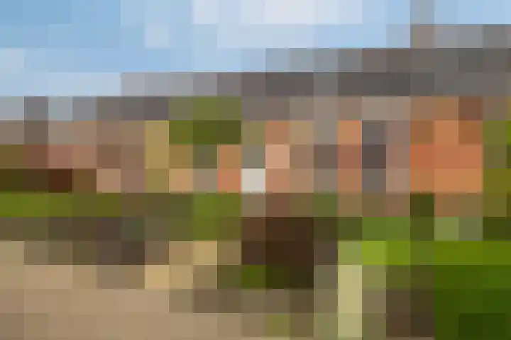 Harnedyk 13 Ingelum thumbnail 5