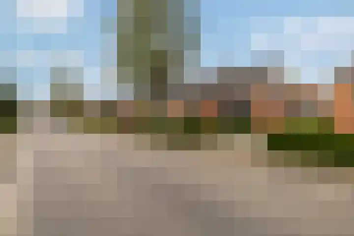 Harnedyk 13 Ingelum thumbnail 53