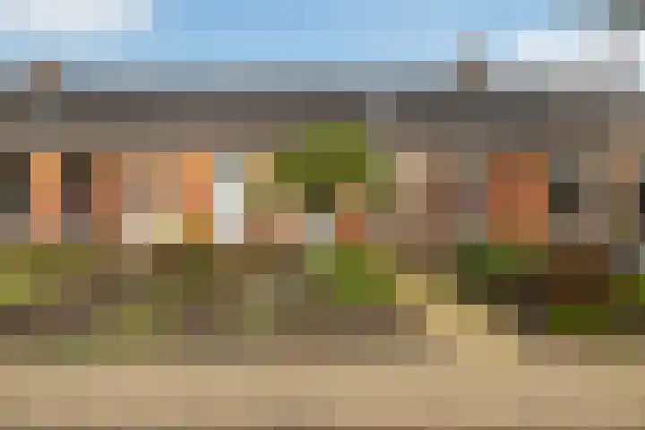 Harnedyk 13 Ingelum thumbnail 6