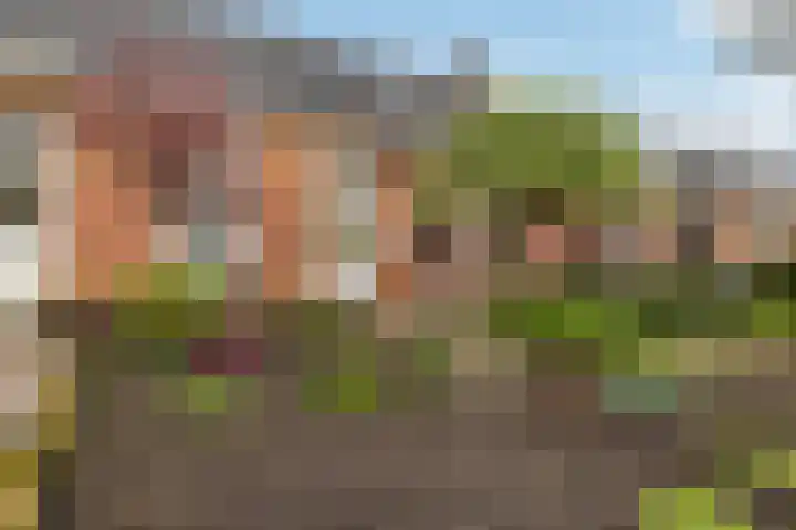 Harnedyk 13 Ingelum thumbnail 7