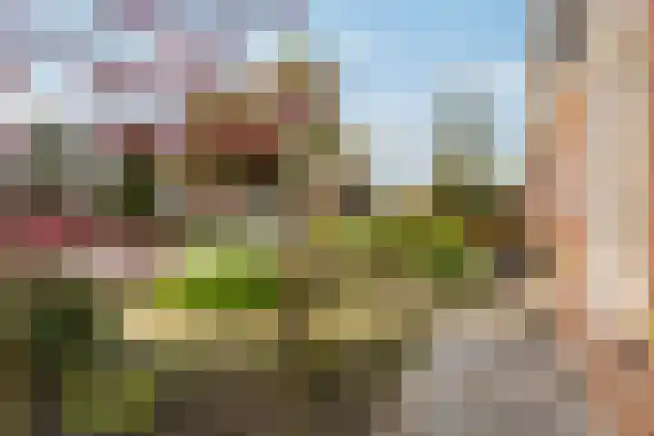 Harnedyk 13 Ingelum thumbnail 8