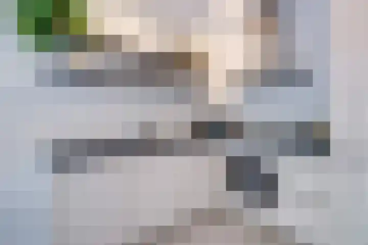Haroekoeplein 15 Utrecht thumbnail 15