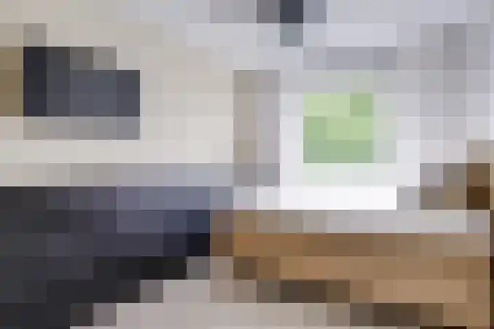 Haroekoeplein 15 Utrecht thumbnail 19