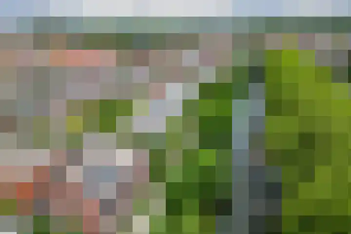 Haroekoeplein 15 Utrecht thumbnail 35