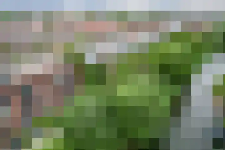 Haroekoeplein 15 Utrecht thumbnail 37