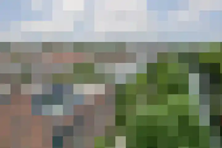 Haroekoeplein 15 Utrecht thumbnail 38