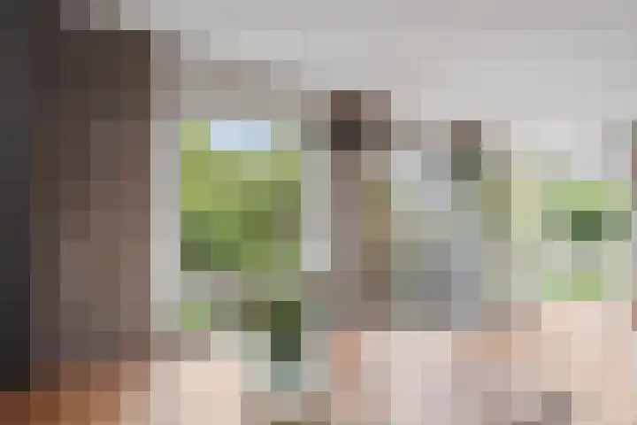 Haroekoeplein 7 Utrecht thumbnail 10