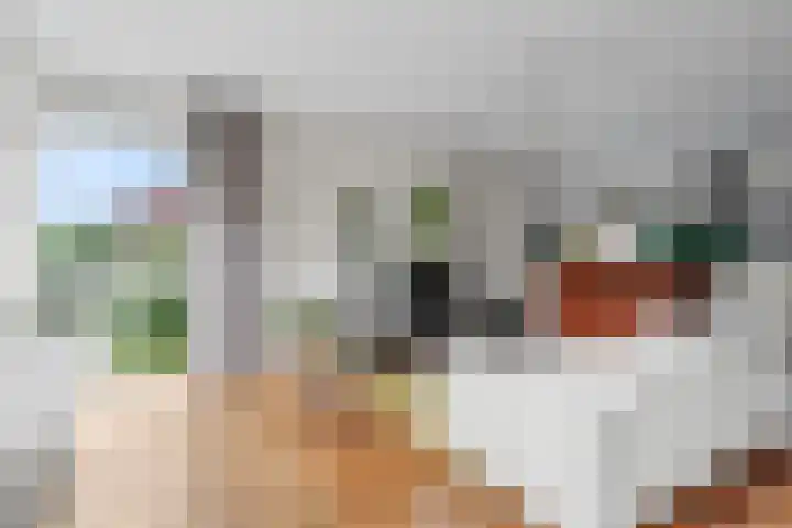 Haroekoeplein 7 Utrecht thumbnail 11
