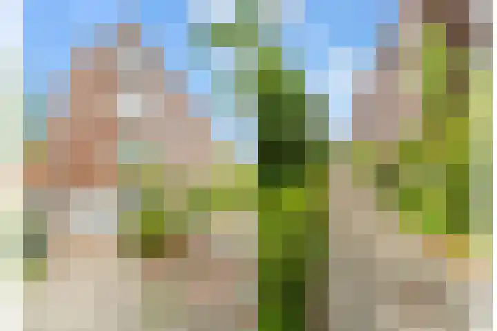 Haroekoeplein 7 Utrecht thumbnail 34