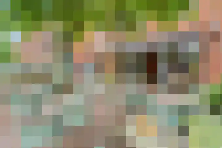Haroekoeplein 7 Utrecht thumbnail 37