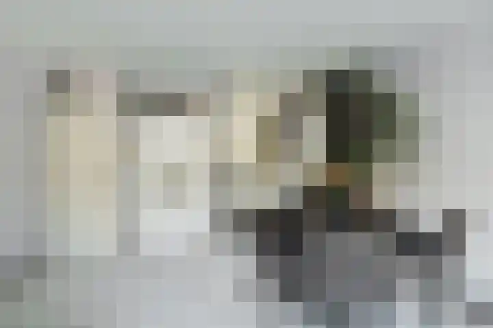 Harp 1 Rotterdam thumbnail 10