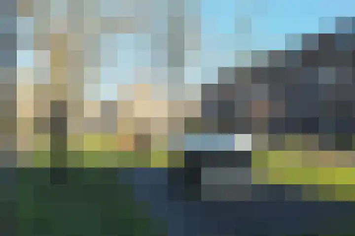 Harp 1 Rotterdam thumbnail 30