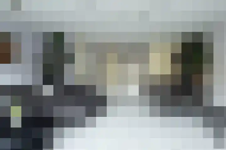 Harp 1 Rotterdam thumbnail 9