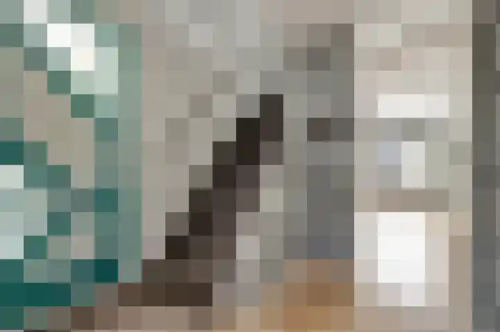 Harp 14 De Lier thumbnail 10