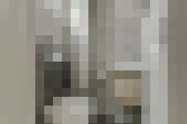 Harp 14 De Lier thumbnail 12