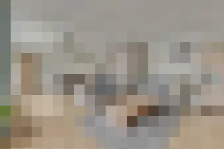 Harp 14 De Lier thumbnail 13
